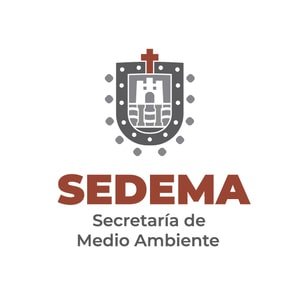 SEDEMA